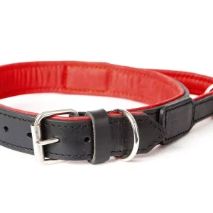 PRIDE Lederen trainingshalsband met handvat