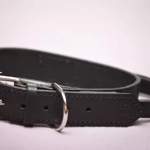 PRIDE Lederen halsband met handvat