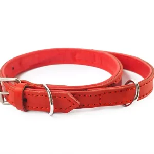 PRIDE Rood lederen halsband met handvat