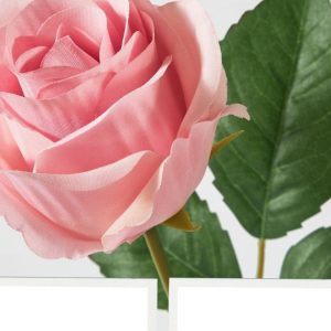 2 stuks Luxe Bulgaarse rozen zepen – heerlijk geuren – douche sponge zeep  – roze kleur – zachte huid 70gr-85gr