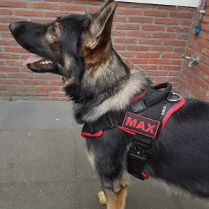 PRIDE Prof werkharnas VERO plus COBRAsluiting