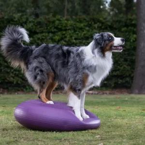 Extreme balanskussen 80 cm