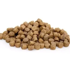 Graanvrij Super Premium Salmon Potatoes