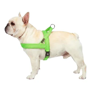 Hondentuig Verstelbaar – Nylon Gewatteerd Comfort - Tuigje voor Wandelen Honden