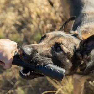 Monster K9 Kauwstaaf