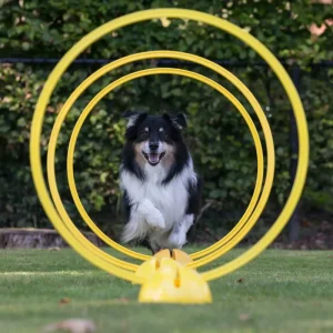 Multifunctionele voet voor hoepel