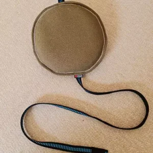 Pride Bijtkussen Disc