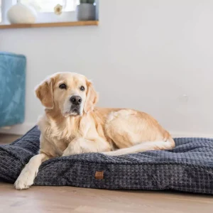 QUAPAS! Comfort kussen Grijs