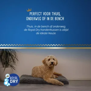 Royal Dry Kussen Voor Honden