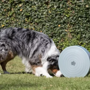 Gymnic Stability Wheel 40cm