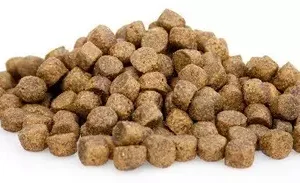 Super Premium High Energy