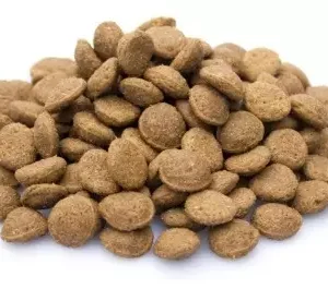 Super Premium Junior