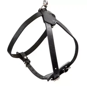 PRIDE Leren Y Harnas JUNIOR