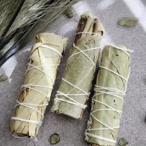 3 stuks Natuurlijke Witte salie en Eucalyptus bundel stick – wierook – handgemaakt in Frankrijk – zuiverend en frisse sfeer 3x11cm